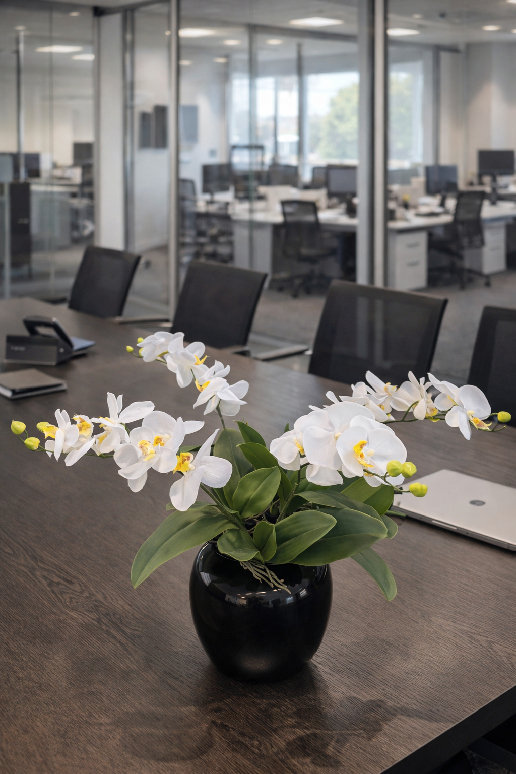Orchidee van Klasse