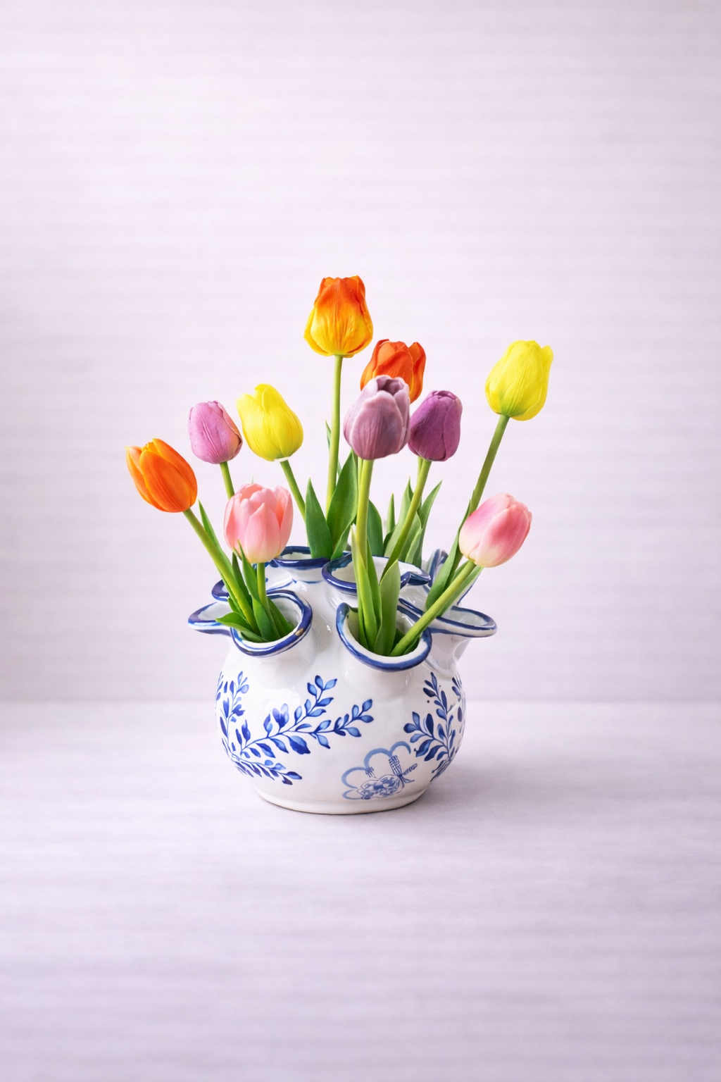 Hollands Glory - Tulpen